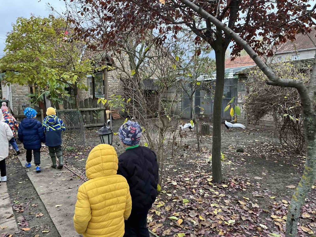 viber slika 2025 11 19 08 25 05 922