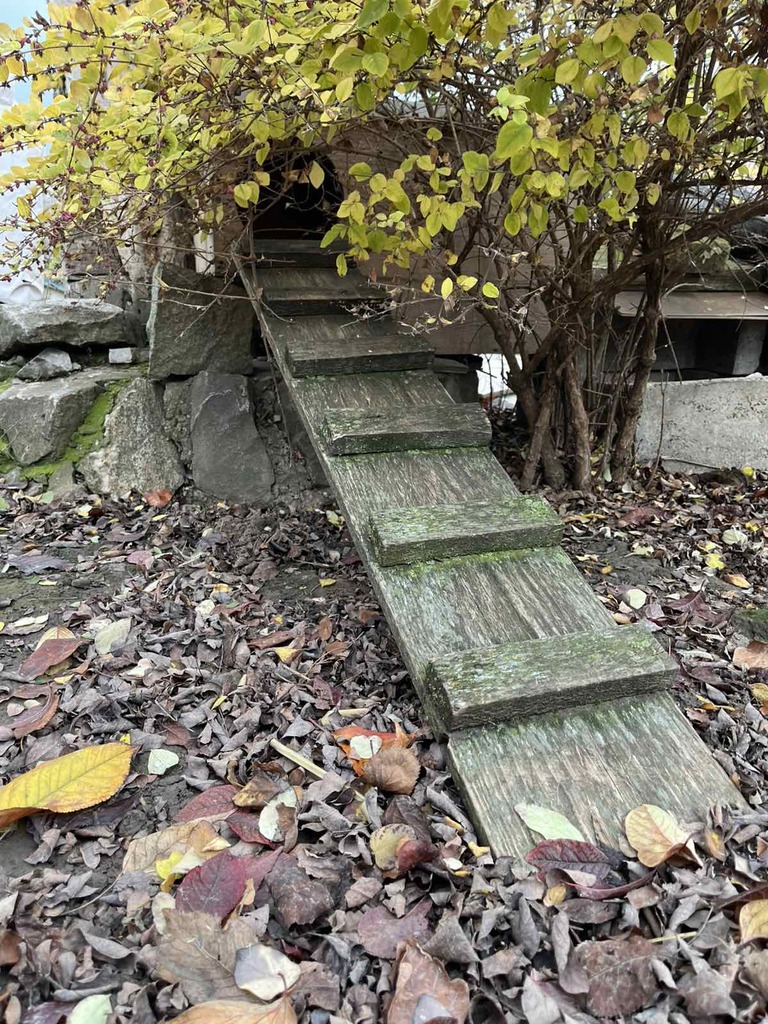 viber slika 2025 11 19 08 25 05 971