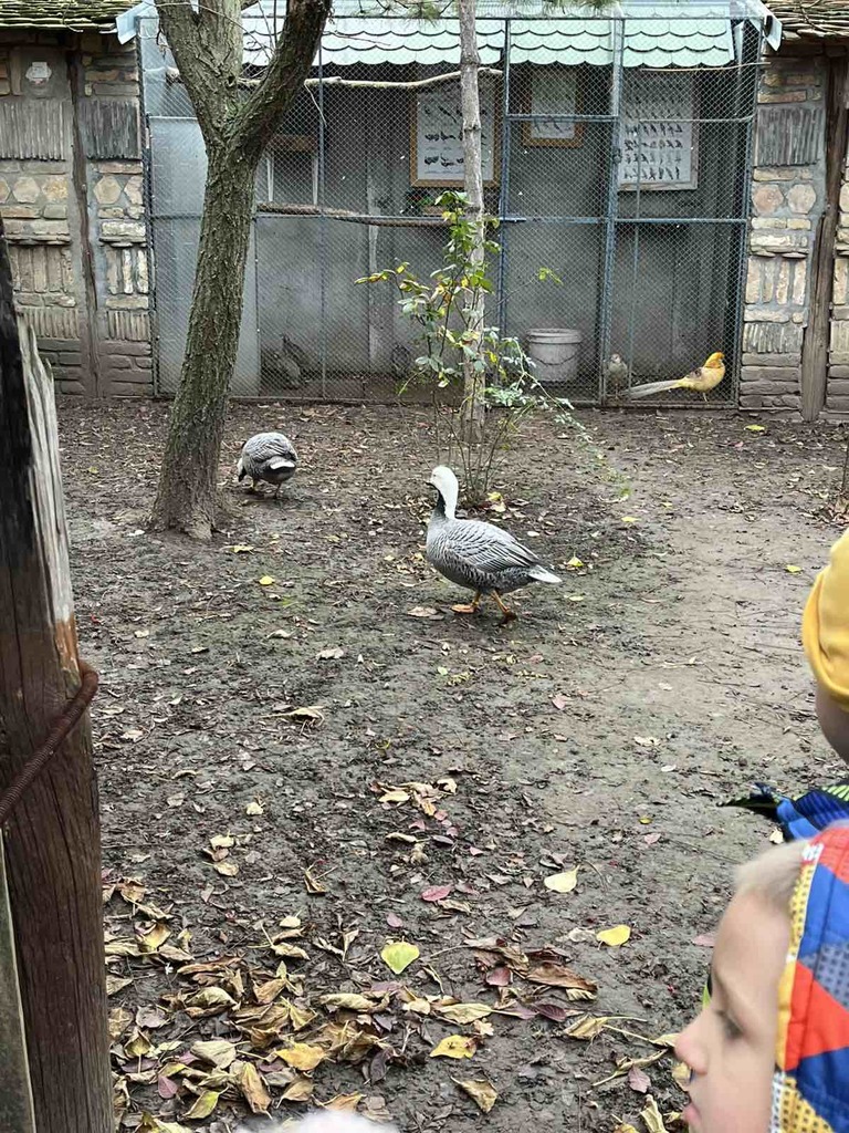 viber slika 2025 11 19 08 25 06 021