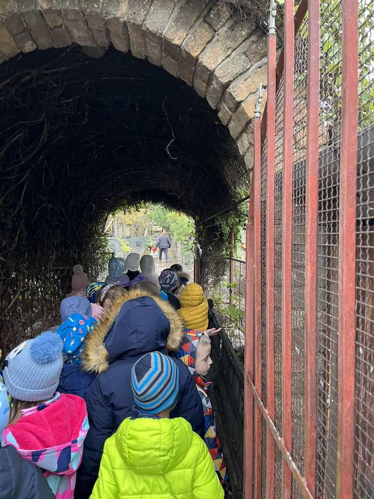 viber slika 2025 11 19 08 25 06 641