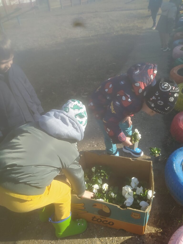 viber slika 2025 10 30 14 34 48 172