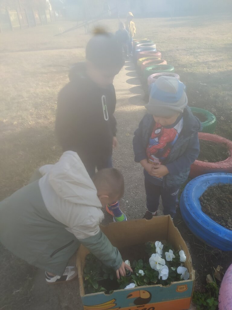 viber slika 2025 10 30 14 34 48 306